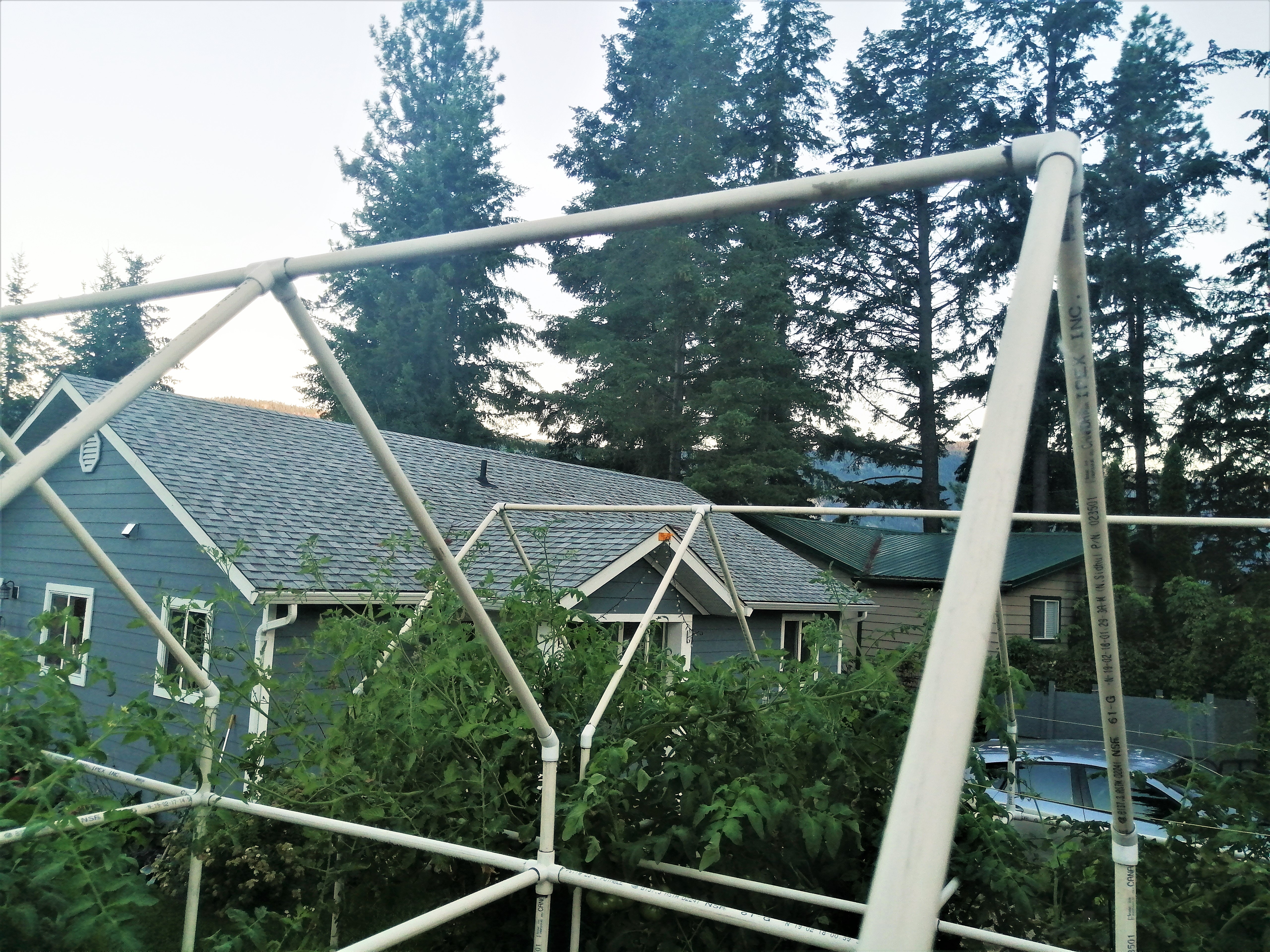 IMG_20220808_200915 (2).jpg