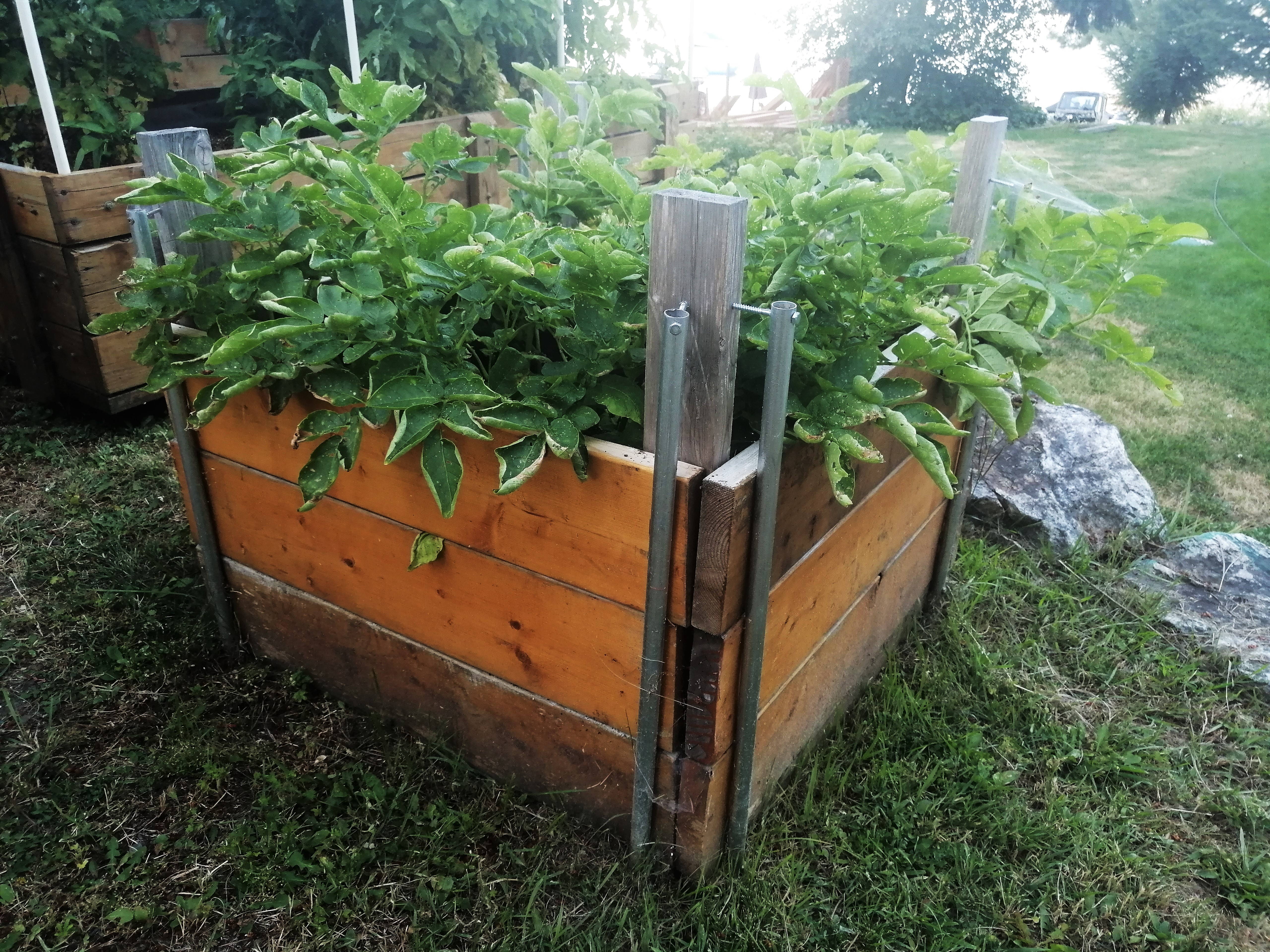 IMG_20220808_200638 (2).jpg