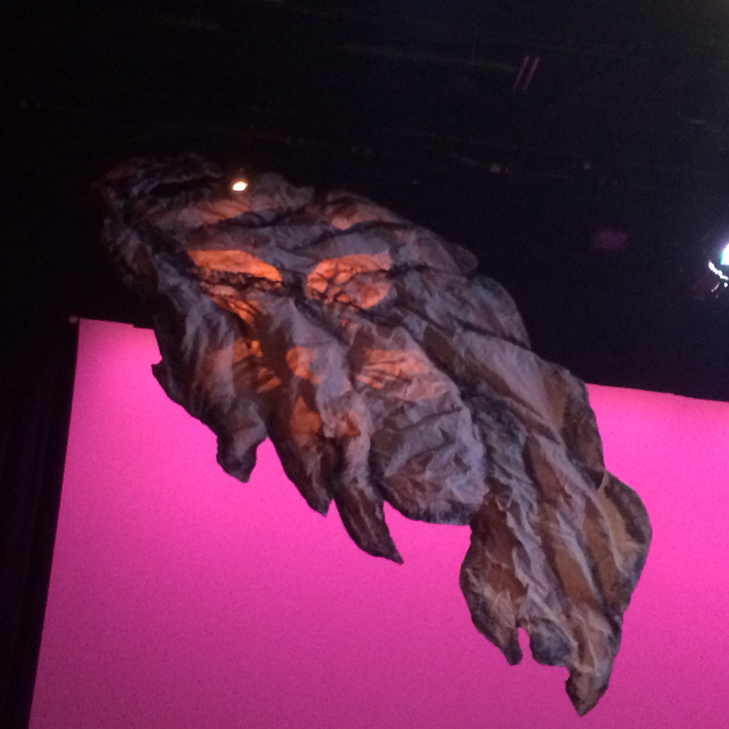 IMG_0879 (Edited).JPG